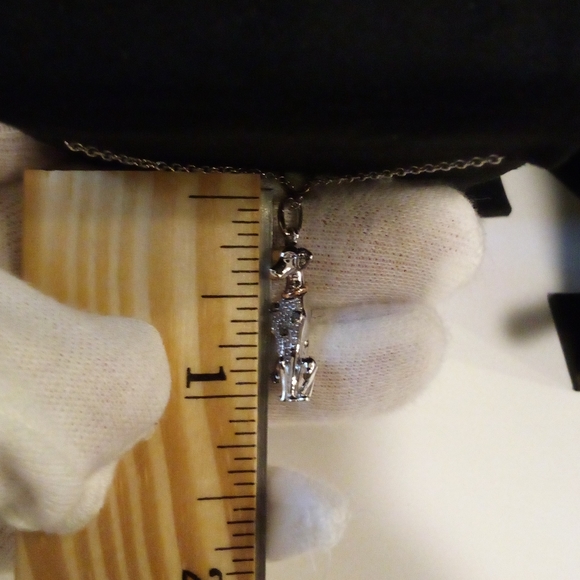 ---- - Picture 5 of 13